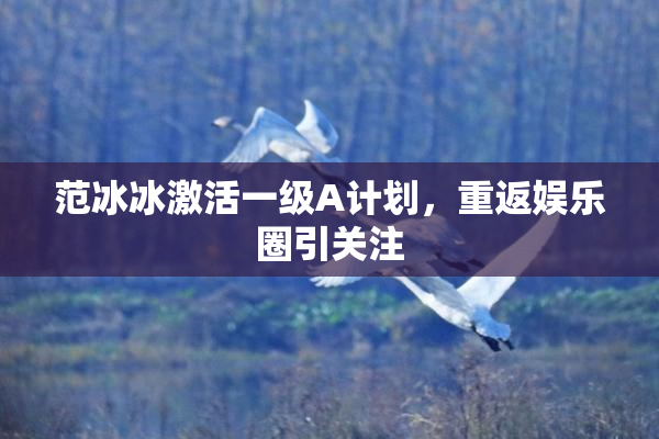 范冰冰激活一级A计划，重返娱乐圈引关注