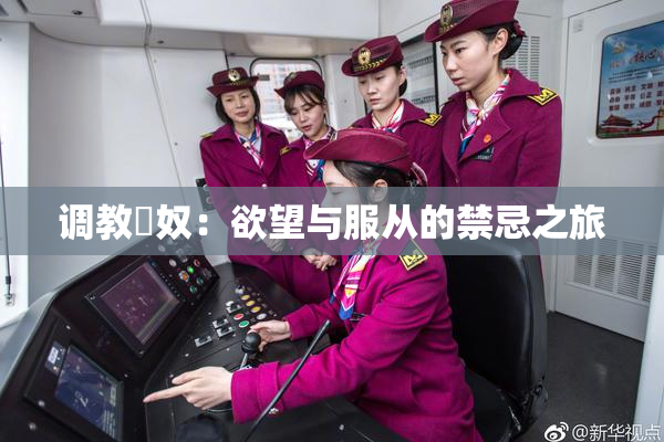 调教婬奴：欲望与服从的禁忌之旅