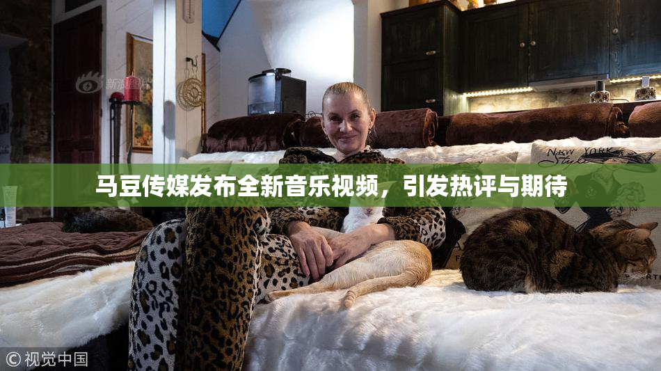 马豆传媒发布全新音乐视频，引发热评与期待