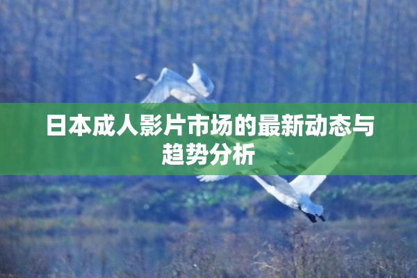 日本成人影片市场的最新动态与趋势分析