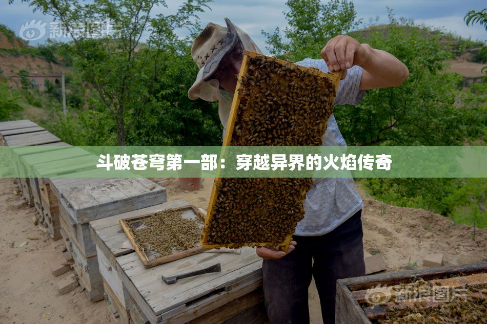 斗破苍穹第一部：穿越异界的火焰传奇