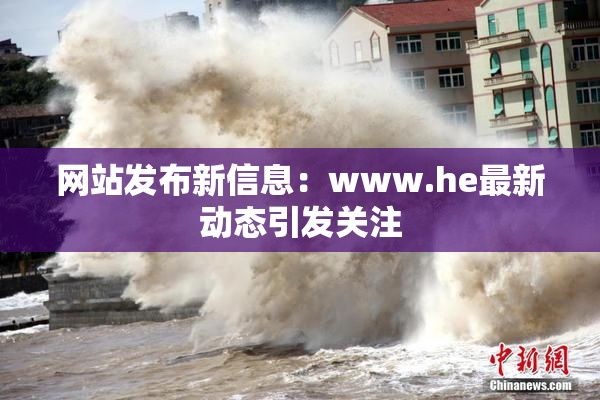 网站发布新信息：www.he最新动态引发关注