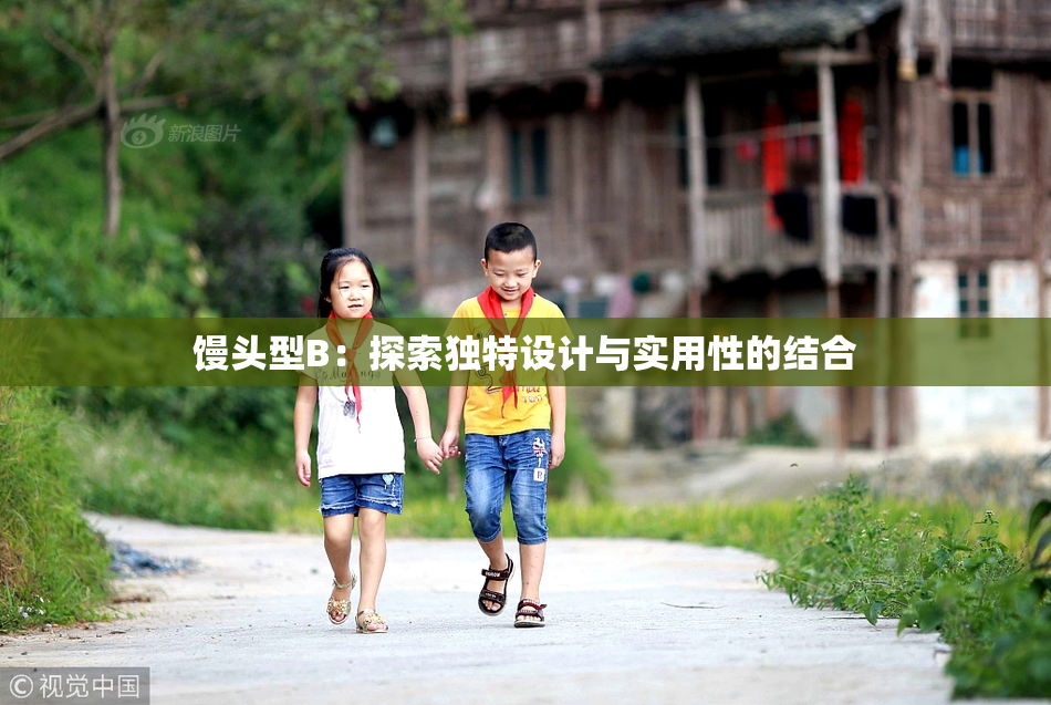 馒头型B：探索独特设计与实用性的结合