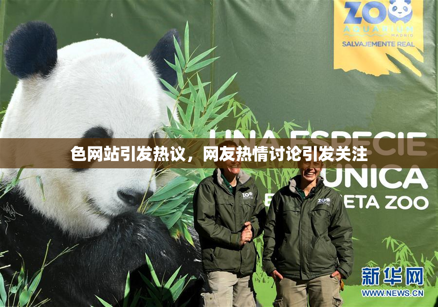 色网站引发热议，网友热情讨论引发关注