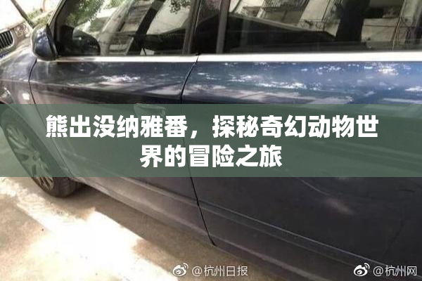 熊出没纳雅番，探秘奇幻动物世界的冒险之旅