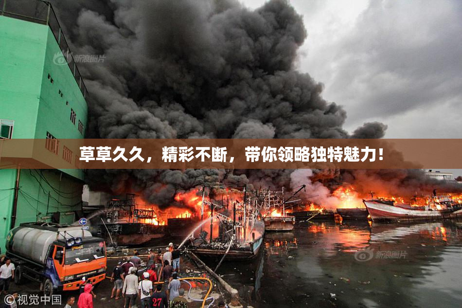 草草久久，精彩不断，带你领略独特魅力！