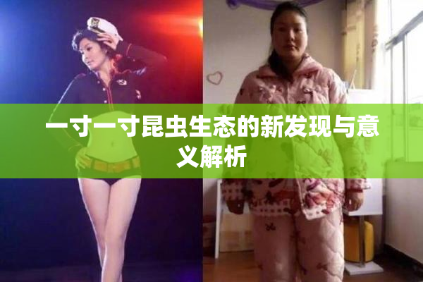 一寸一寸昆虫生态的新发现与意义解析