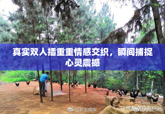 真实双人插重重情感交织，瞬间捕捉心灵震撼