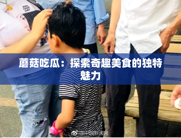 蘑菇吃瓜：探索奇趣美食的独特魅力