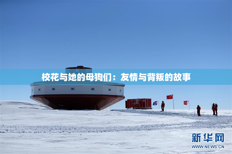 校花与她的母狗们：友情与背叛的故事