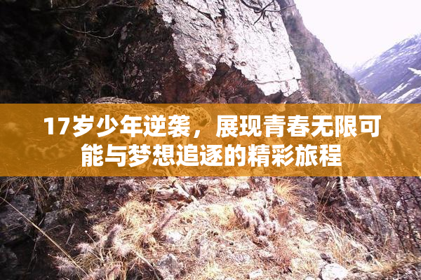 17岁少年逆袭，展现青春无限可能与梦想追逐的精彩旅程