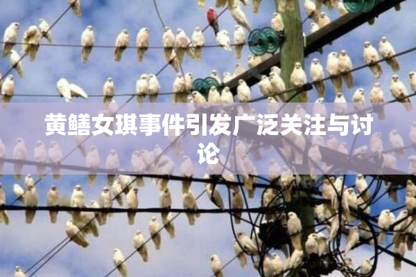 黄鳝女琪事件引发广泛关注与讨论