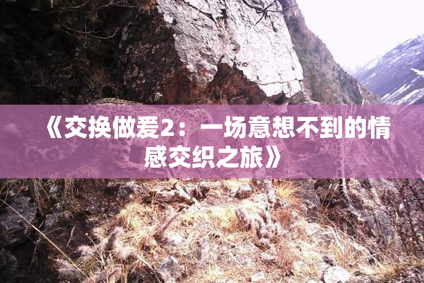 《交换做爰2：一场意想不到的情感交织之旅》