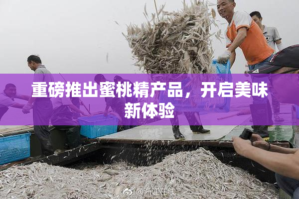 重磅推出蜜桃精产品，开启美味新体验