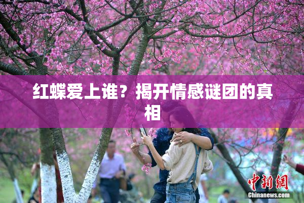 红蝶爱上谁？揭开情感谜团的真相