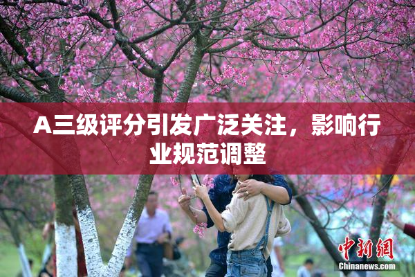 A三级评分引发广泛关注，影响行业规范调整