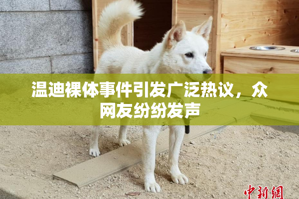 温迪裸体事件引发广泛热议，众网友纷纷发声