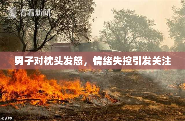 男子对枕头发怒，情绪失控引发关注