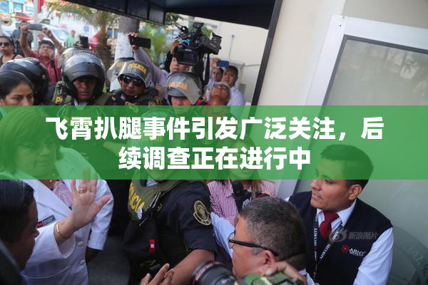 飞霄扒腿事件引发广泛关注，后续调查正在进行中