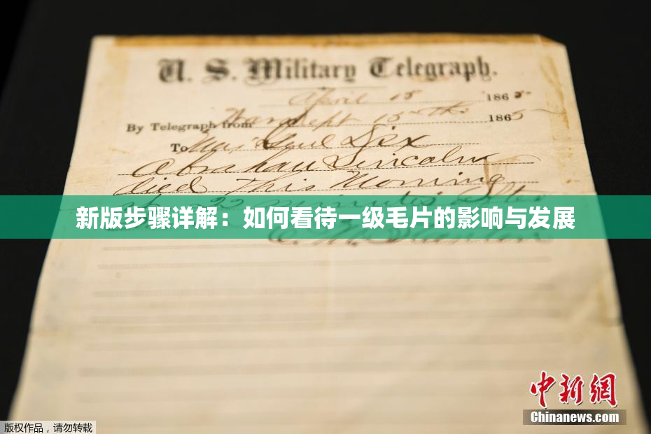 新版步骤详解：如何看待一级毛片的影响与发展