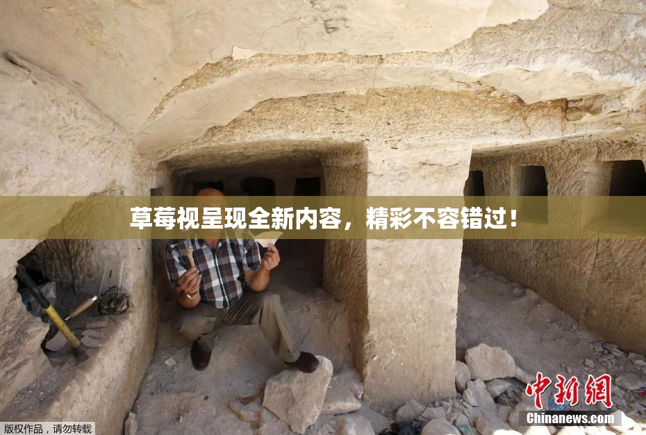 草莓视呈现全新内容，精彩不容错过！
