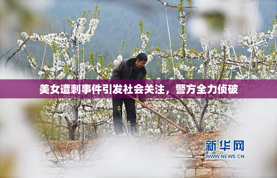 美女遭刺事件引发社会关注，警方全力侦破