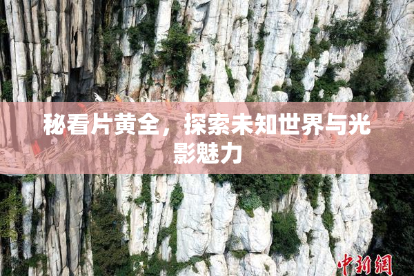 秘看片黄全，探索未知世界与光影魅力
