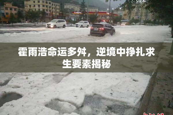 霍雨浩命运多舛，逆境中挣扎求生要素揭秘