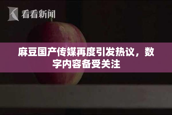 麻豆国产传媒再度引发热议，数字内容备受关注