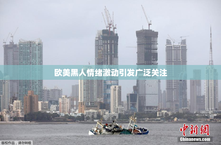 欧美黑人情绪激动引发广泛关注