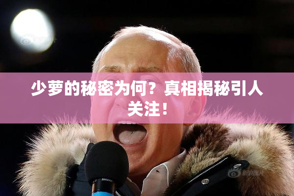 少萝的秘密为何？真相揭秘引人关注！