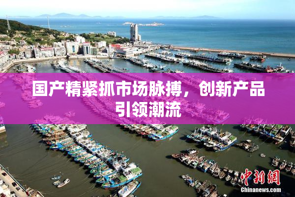 国产精紧抓市场脉搏，创新产品引领潮流