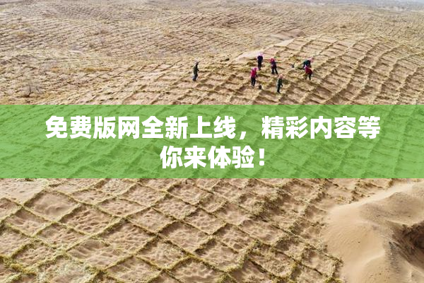 免费版网全新上线，精彩内容等你来体验！