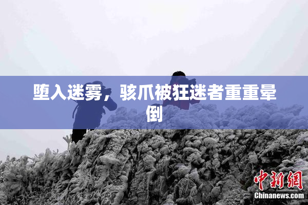 堕入迷雾，骇爪被狂迷者重重晕倒