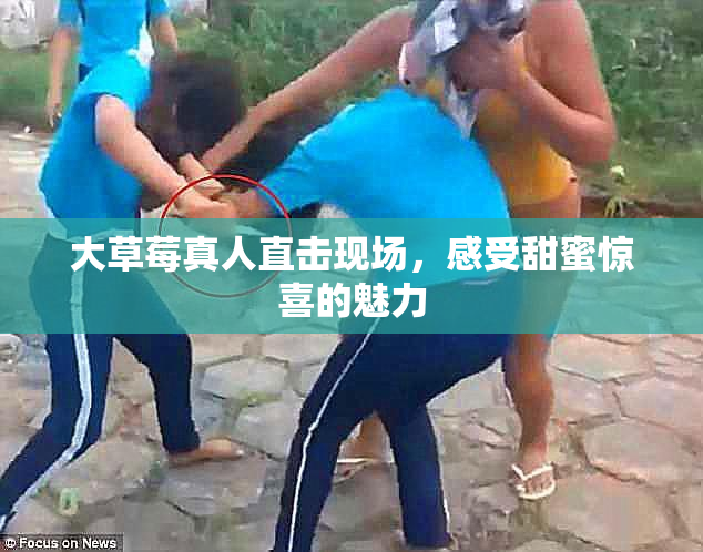 大草莓真人直击现场，感受甜蜜惊喜的魅力