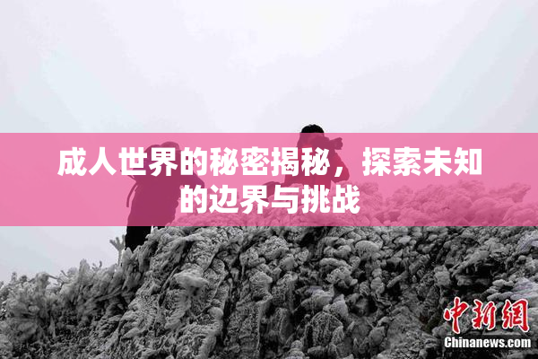 成人世界的秘密揭秘，探索未知的边界与挑战