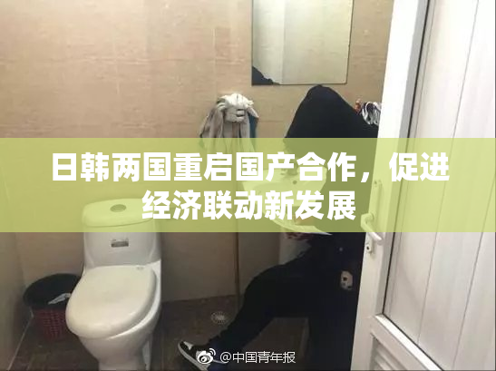 日韩两国重启国产合作，促进经济联动新发展