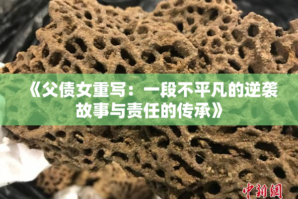 《父债女重写：一段不平凡的逆袭故事与责任的传承》