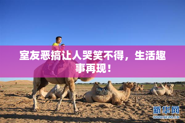 室友恶搞让人哭笑不得，生活趣事再现！