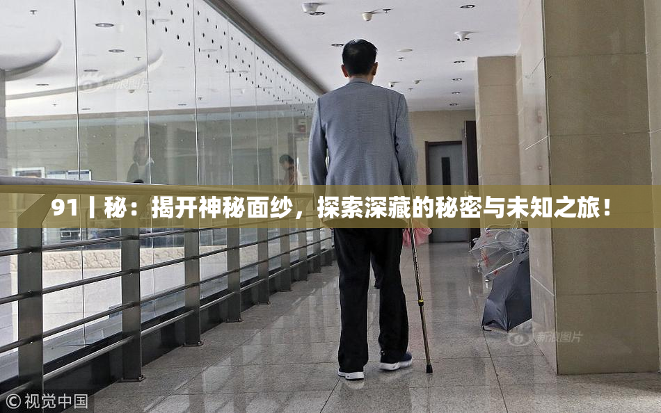 91丨秘：揭开神秘面纱，探索深藏的秘密与未知之旅！