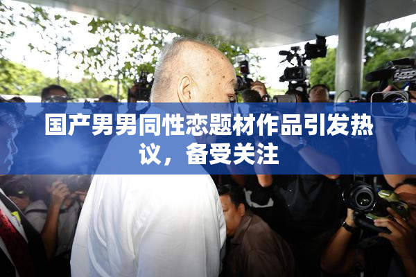国产男男同性恋题材作品引发热议，备受关注