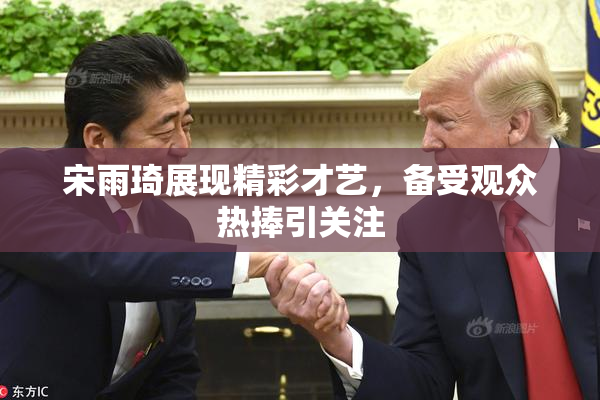 宋雨琦展现精彩才艺，备受观众热捧引关注