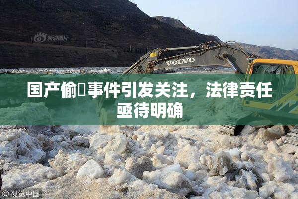 国产偷抇事件引发关注，法律责任亟待明确