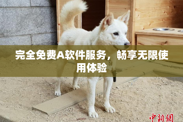 完全免费A软件服务，畅享无限使用体验