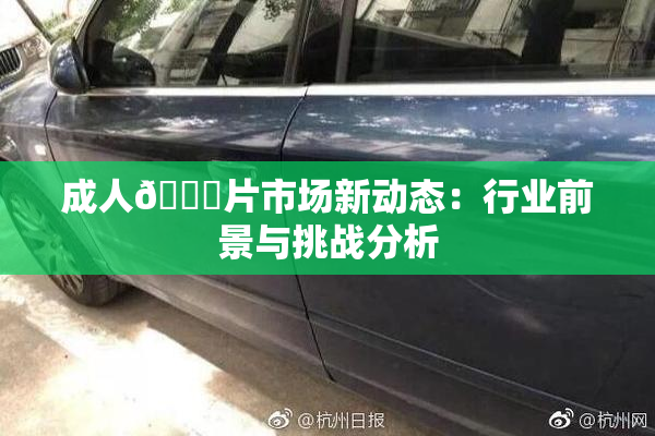 成人🔞片市场新动态：行业前景与挑战分析