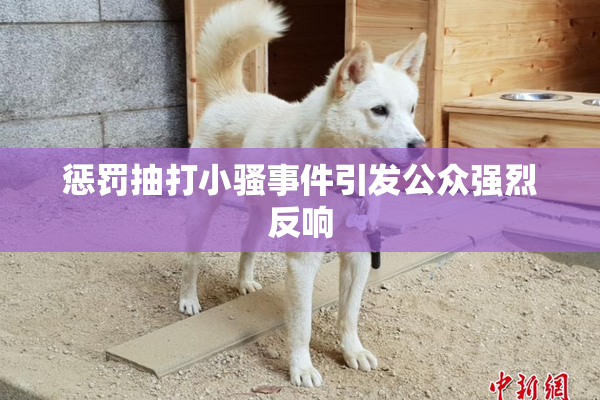 惩罚抽打小骚事件引发公众强烈反响