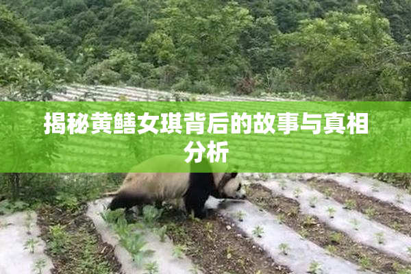 揭秘黄鳝女琪背后的故事与真相分析