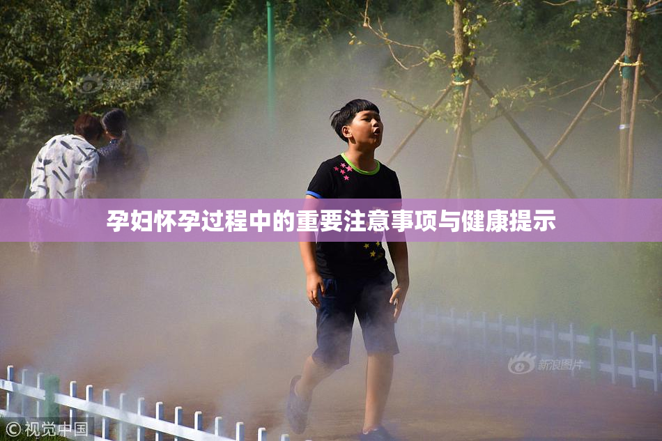 孕妇怀孕过程中的重要注意事项与健康提示