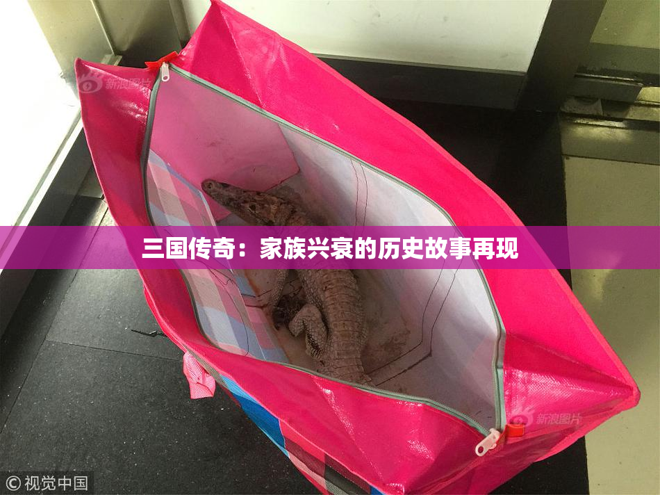 三国传奇：家族兴衰的历史故事再现