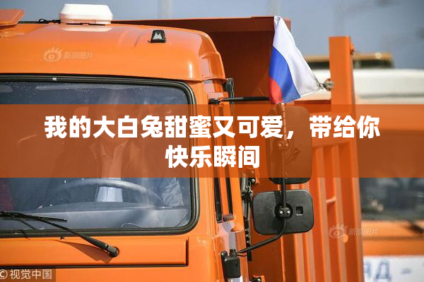 我的大白兔甜蜜又可爱，带给你快乐瞬间